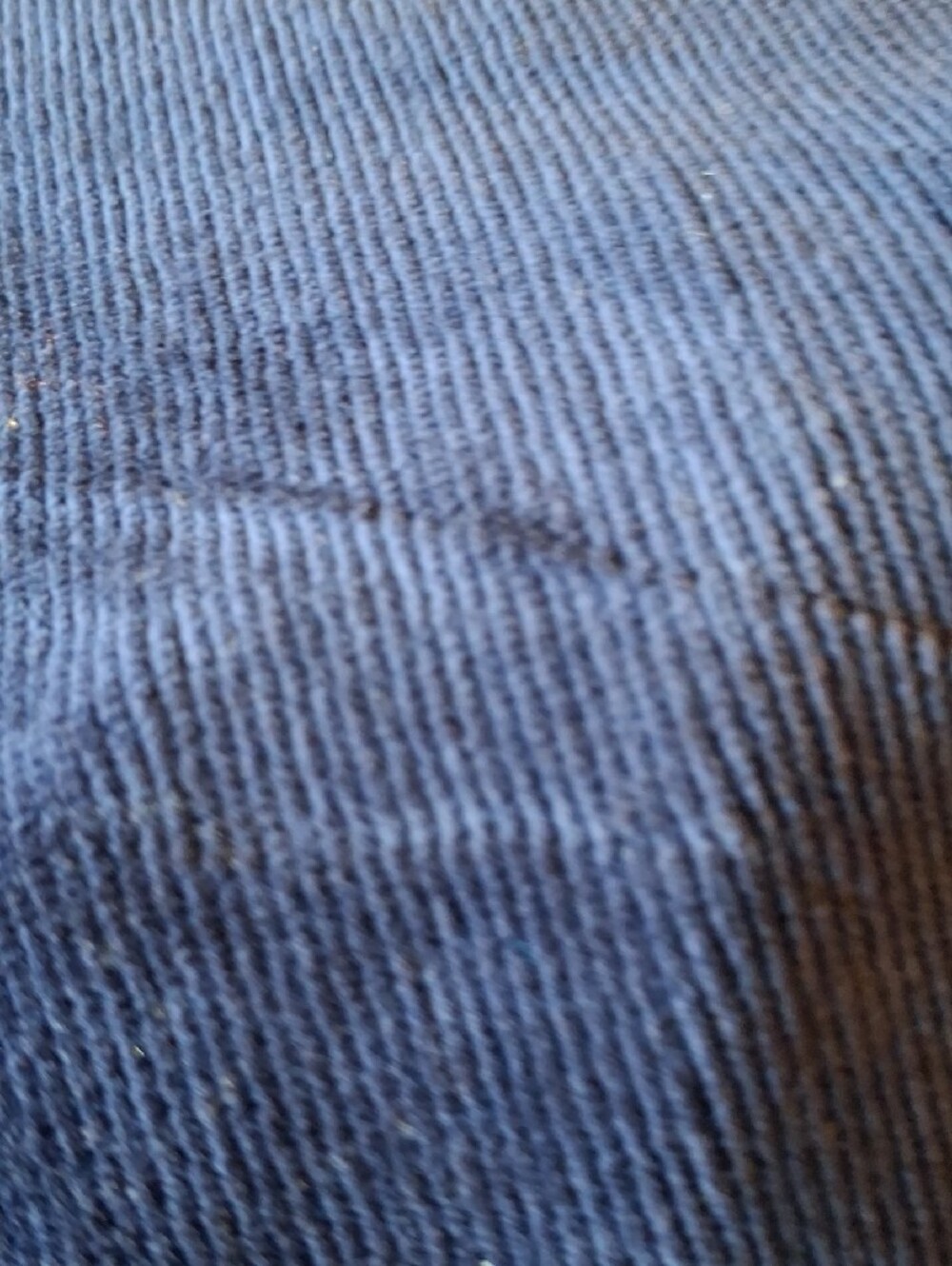 Women's Navy Corduroy Pull-On Pants Stretch Size Large - Picture 5 of 5
